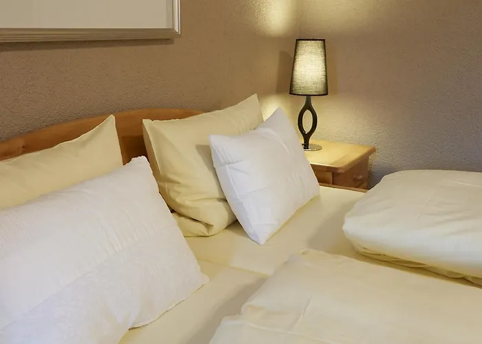 Fraenkischer Hof Hotel Hofheim in Unterfranken